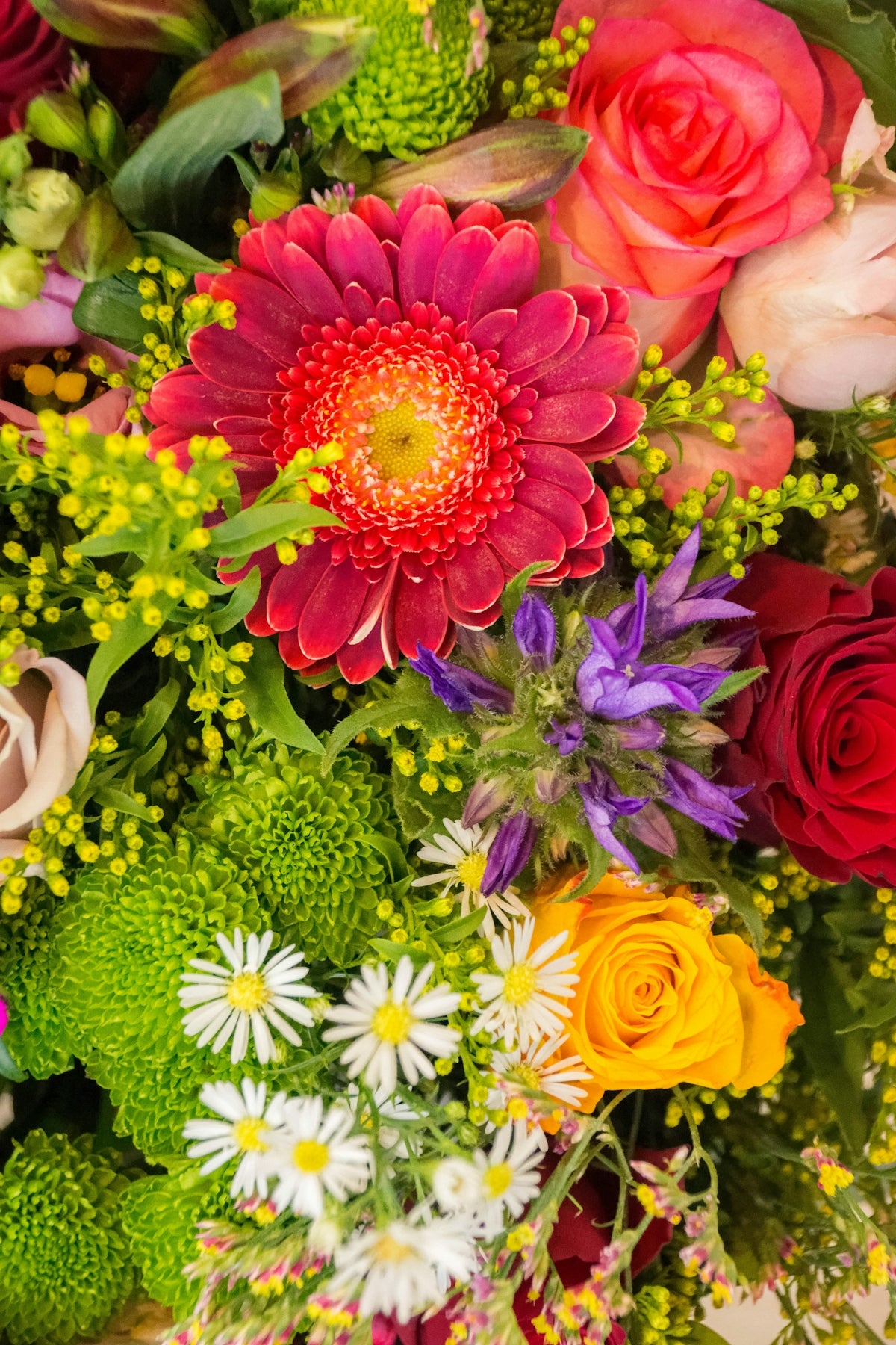pink and white flowers with green leaves