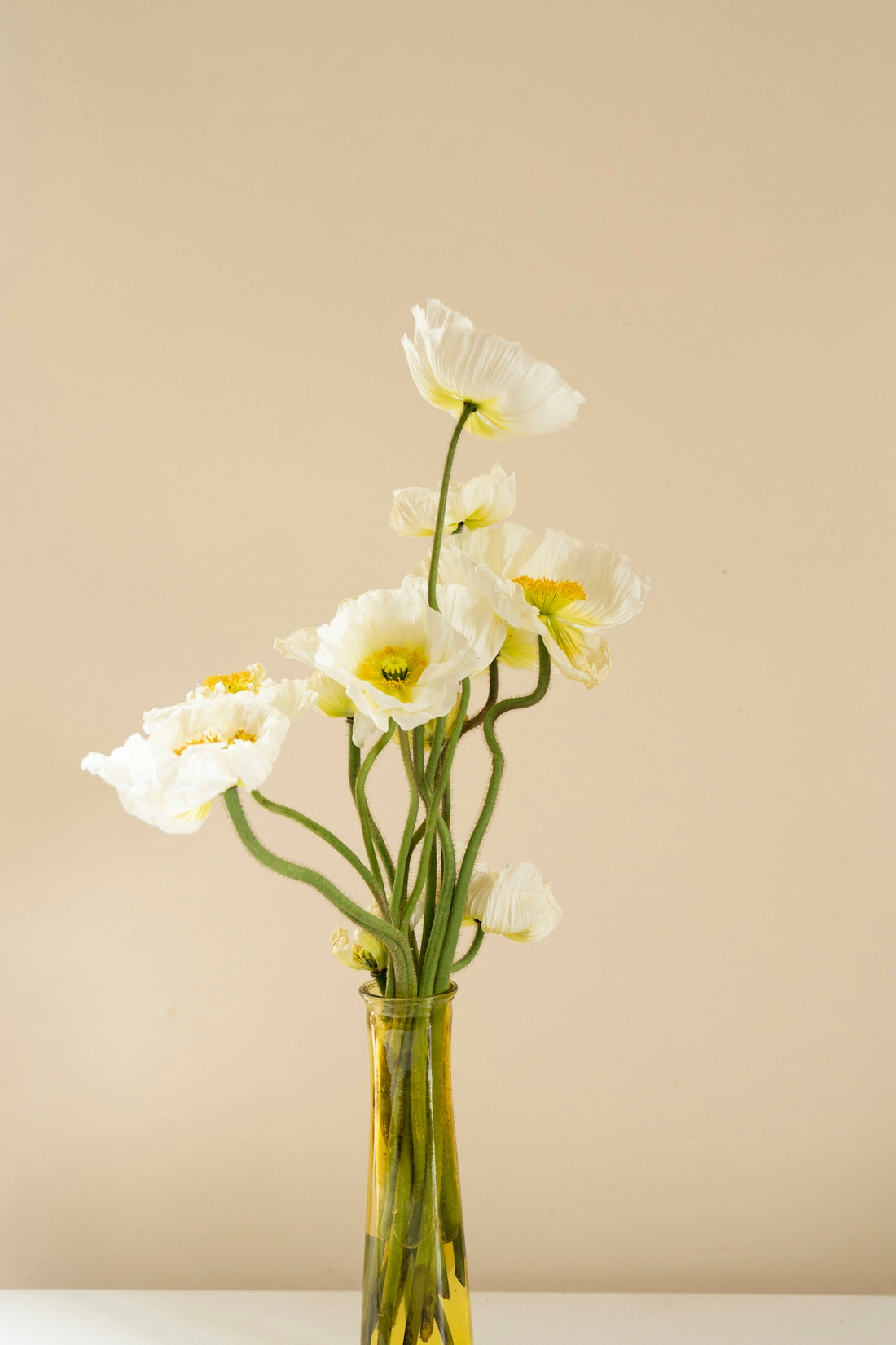 white poppies in amber glass vase