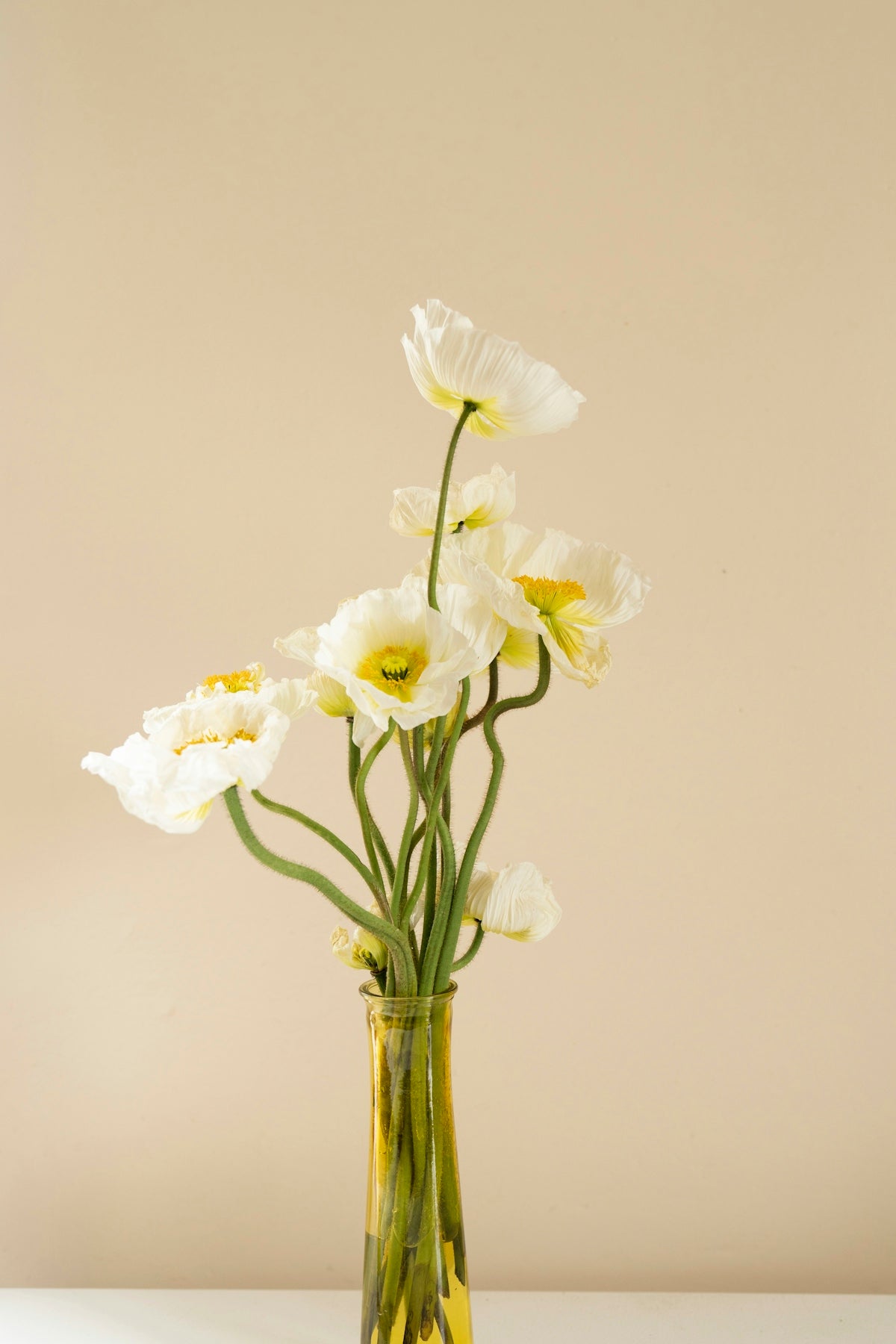 white poppies in amber glass vase