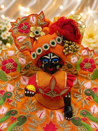 Heavy Resham Embroidered Laddu Gopal Dress